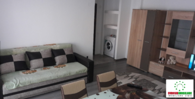 apartament-de-inchiriat-zona-doamna-stanca-4